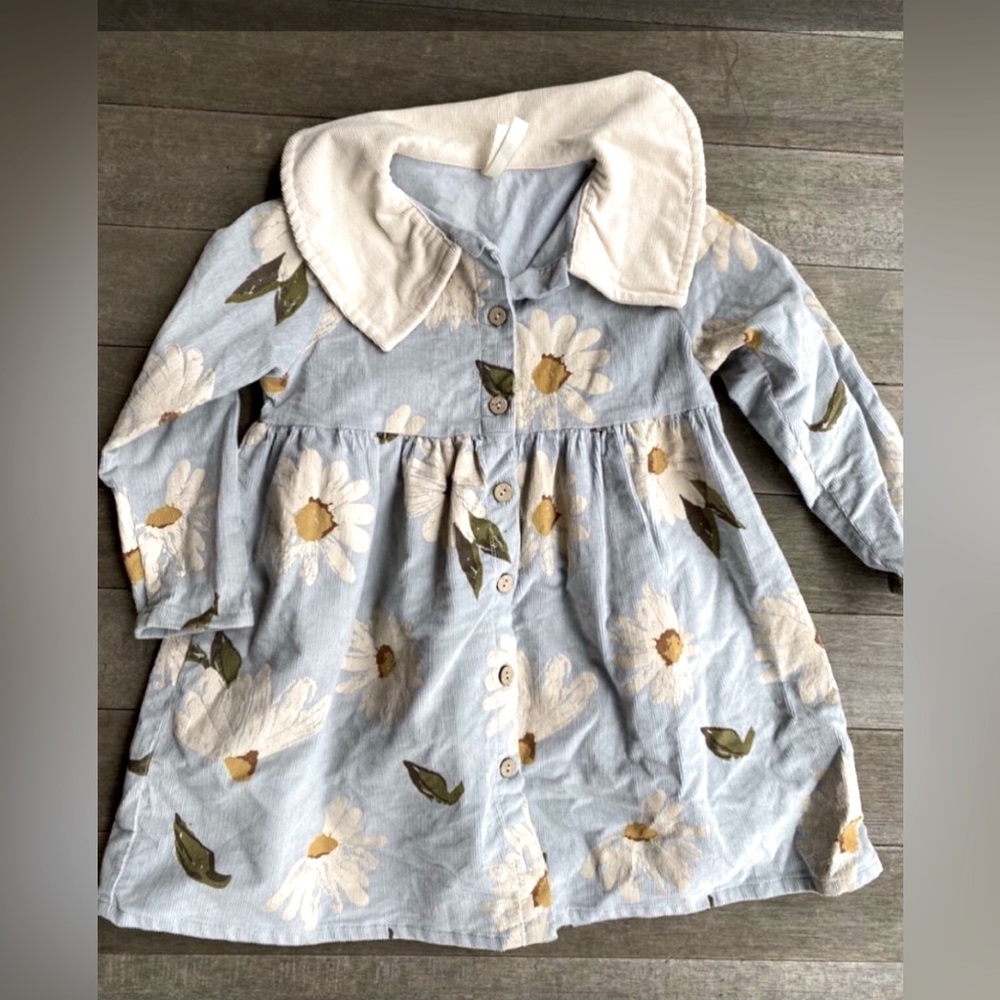 Wild Wawa Dress 3-4T Like New
